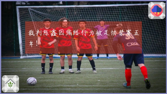 裁判陈鑫因贿赂行为被足协禁赛五年!